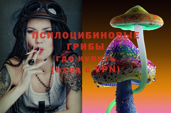 a pvp Зеленодольск