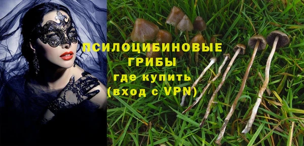 МДПВ Зеленокумск