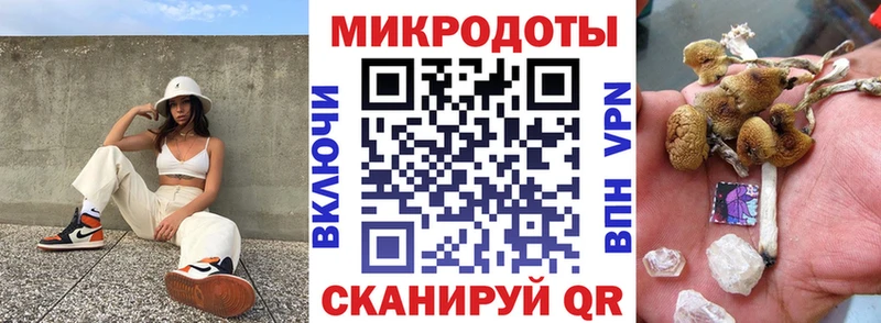 Галлюциногенные грибы Magic Shrooms  Купить  Камбарка 